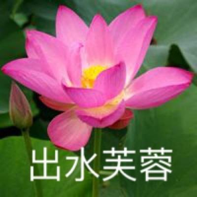 北凉悍刀行手游小米版下载